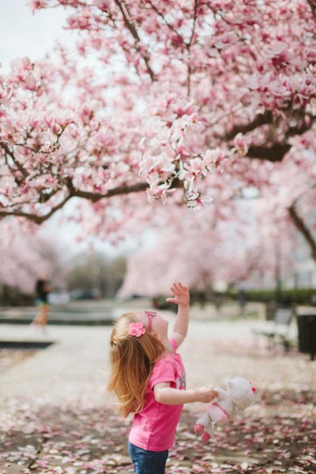 karl-fredrickson-74973-unsplash karl-fredrickson-74973-unsplash